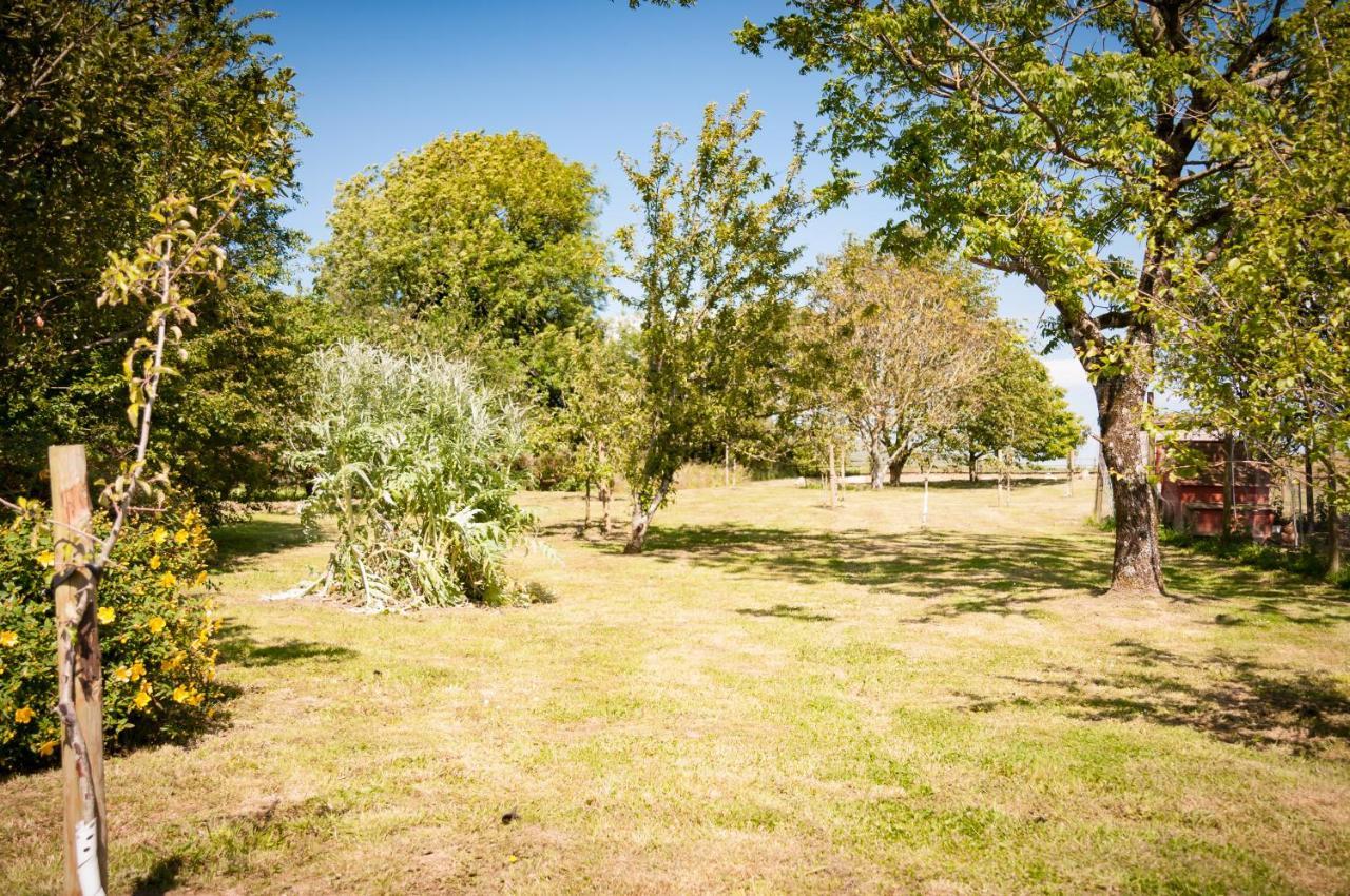 Cadleigh Manor Βίλα Ivybridge Εξωτερικό φωτογραφία